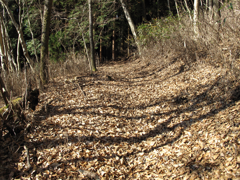 20161216hike (62)